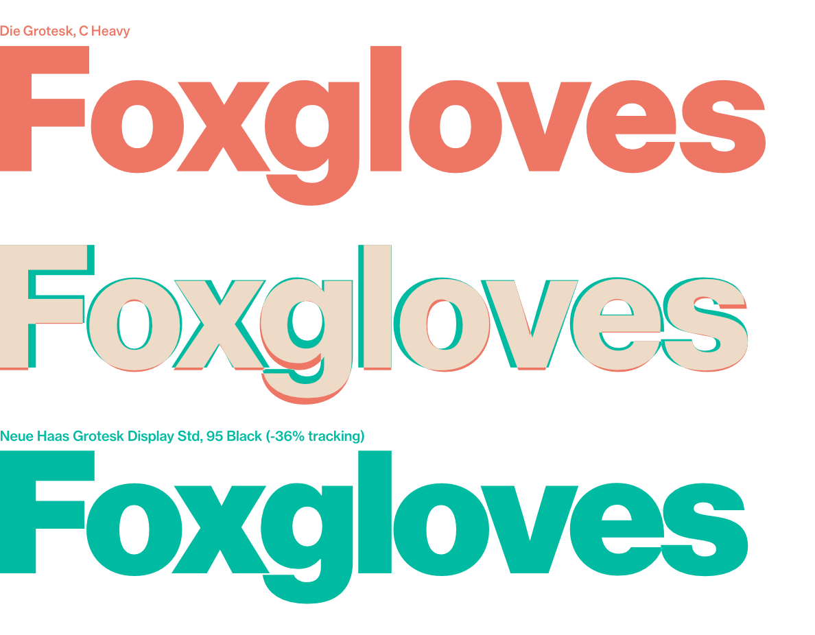 Three rows of text, each saying "Foxgloves". The top row is in Die Grotesk at a heavyweight, the bottom row is in Neue Haas Grotesk at a heavyweight, and the middle row is the two typefaces superimposed.